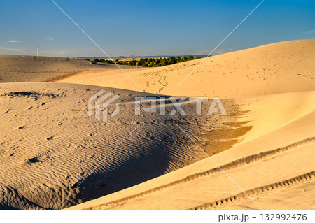 The vast St. Anthony Sand Dunes in Idaho, glowing in warm golden light. Ripples, textures, and footprints are visible in the sand under a clear blue sky. Represents desert landscapes and nature The vast St. Anthony Sand Dunes in Idaho, glowing in warm golden light. Ripples, textures, and footprints are visible in the sand under a clear blue sky. Represents desert landscapes and nature 132992476