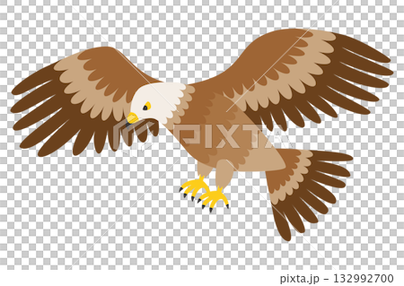 Hawk, hawk, eagle, illustration material 132992700