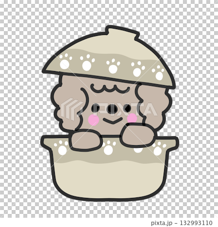 Cute toy poodle in a pot 132993110