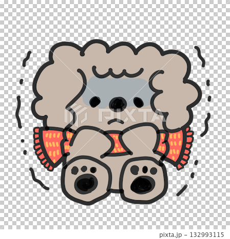 A toy poodle shivering in a scarf A toy poodle shivering in a scarf 132993115