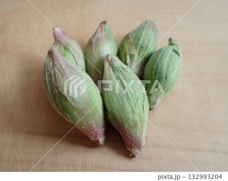 フキノトウ　食材 132993204