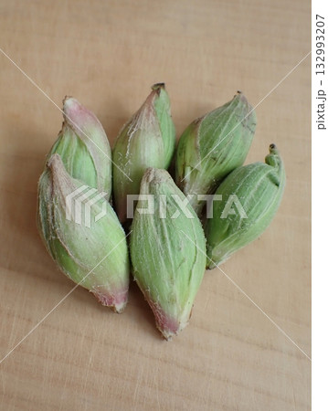フキノトウ　食材 132993207