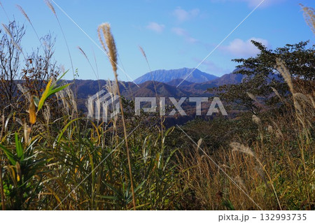 見ごろの紅葉 大山 見ごろの紅葉 大山 132993735