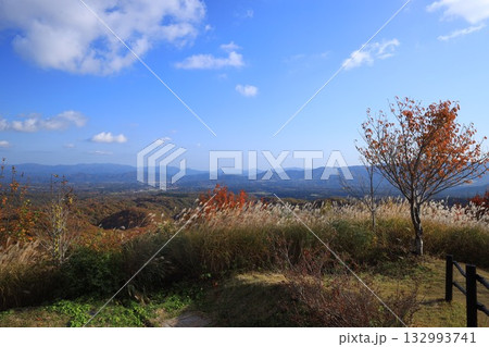 見ごろの紅葉 大山 見ごろの紅葉 大山 132993741