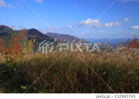 見ごろの紅葉 大山 見ごろの紅葉 大山 132993743
