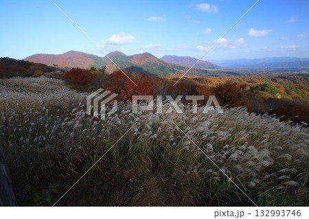 見ごろの紅葉　大山 132993746
