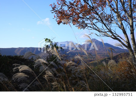 見ごろの紅葉 大山 見ごろの紅葉 大山 132993751