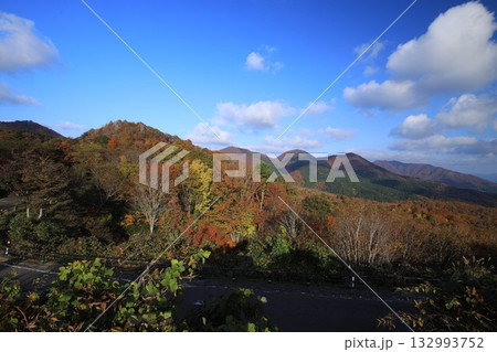 見ごろの紅葉　大山 132993752