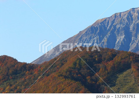 見ごろの紅葉 大山 見ごろの紅葉 大山 132993761