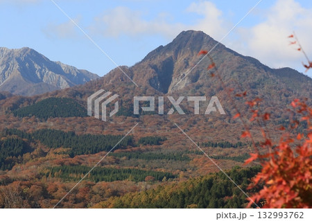見ごろの紅葉 大山 見ごろの紅葉 大山 132993762