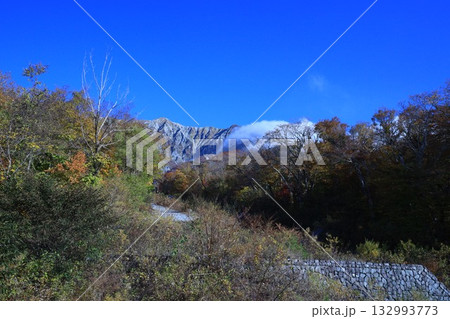 見ごろの紅葉 大山 見ごろの紅葉 大山 132993773