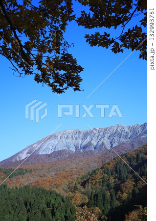 見ごろの紅葉　大山 132993781