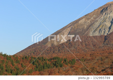 見ごろの紅葉 大山 見ごろの紅葉 大山 132993789
