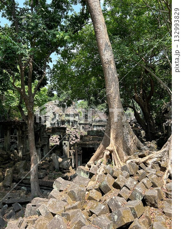 ベンメリア遺跡 カンボジア ベンメリア遺跡 カンボジア 132993829