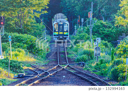 新緑のトンネルを抜ける鉄道風景(JR函館本線) 新緑のトンネルを抜ける鉄道風景(JR函館本線) 132994163