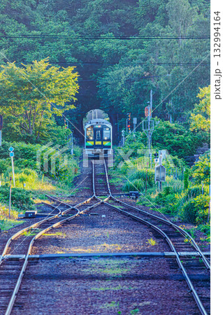 緑に包まれたJR函館本線のローカル列車 132994164
