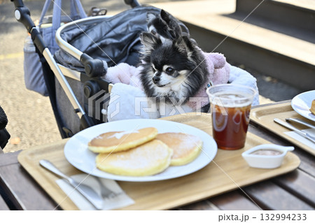 カフェのテラス席　のんびり過ごす女性とチワワ 132994233