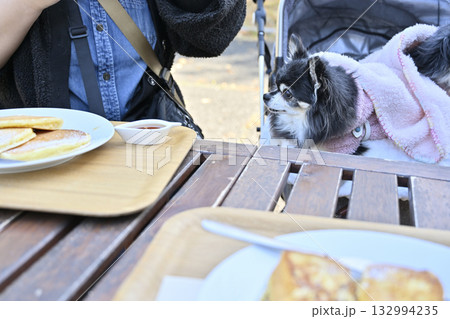 カフェのテラス席　のんびり過ごす女性とチワワ 132994235