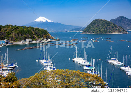 長浜城市から望む駿河湾そして富士山 132994732