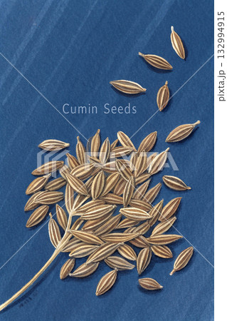 organic oat on a wooden background 132994915