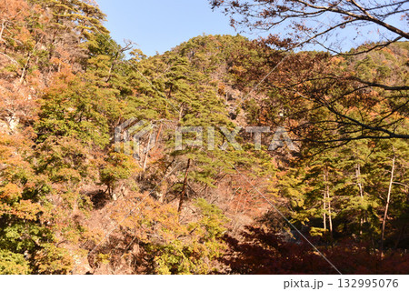 昇仙峡　紅葉 132995076