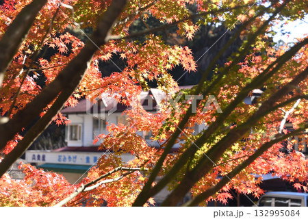 昇仙峡　紅葉 132995084