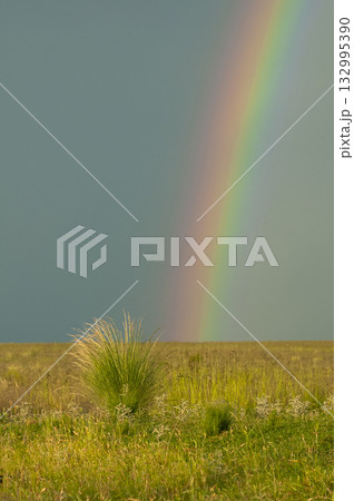 Rural landscape and rainbow,Buenos Aires 132995390