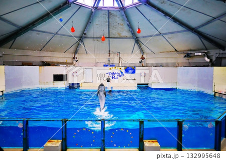 イルカショーの風景 132995648