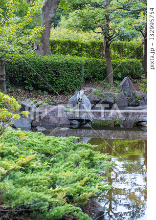 《大磯城山公園》公園の池のある風景（神奈川県大磯町） 132995754
