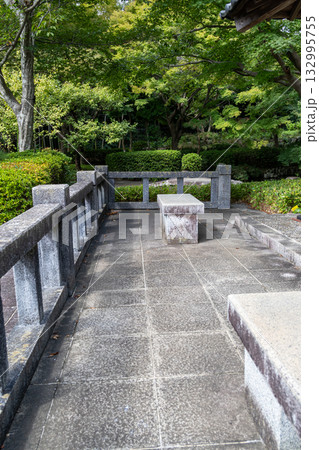 《大磯城山公園》公園の池のある風景（神奈川県大磯町） 132995755
