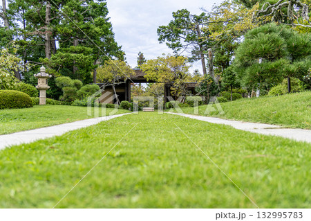 《大磯城山公園》旧吉田茂邸の緑豊かな庭園の様子（神奈川県大磯町） 132995783