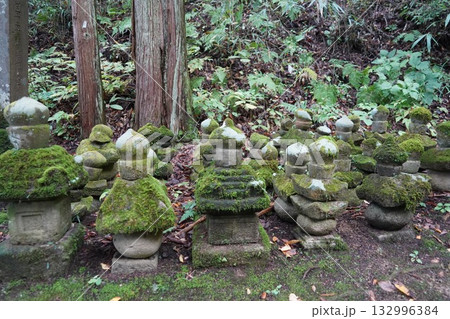信州の鎌倉・北向観音・常楽寺・天台宗別格本山・別所温泉周辺の風景 132996384