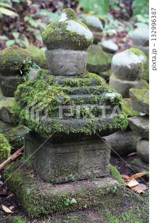 信州の鎌倉・北向観音・常楽寺・天台宗別格本山・別所温泉周辺の風景 信州の鎌倉・北向観音・常楽寺・天台宗別格本山・別所温泉周辺の風景 132996387