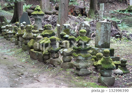 信州の鎌倉・北向観音・常楽寺・天台宗別格本山・別所温泉周辺の風景 132996390