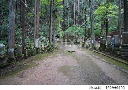 信州の鎌倉・北向観音・常楽寺・天台宗別格本山・別所温泉周辺の風景 132996393