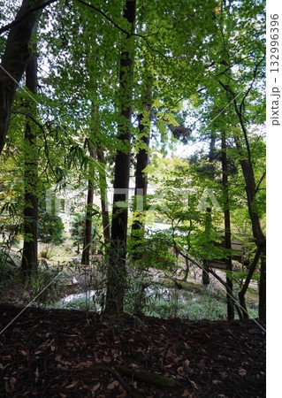 信州の鎌倉・北向観音・常楽寺・天台宗別格本山・別所温泉周辺の風景 信州の鎌倉・北向観音・常楽寺・天台宗別格本山・別所温泉周辺の風景 132996396