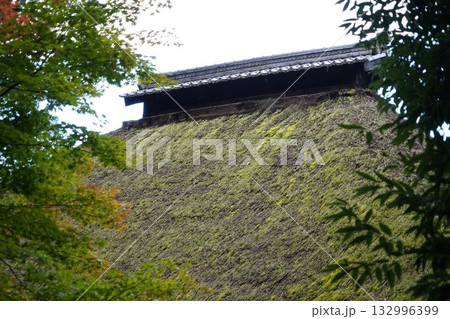 信州の鎌倉・北向観音・常楽寺・天台宗別格本山・別所温泉周辺の風景 132996399