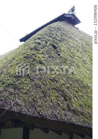 信州の鎌倉・北向観音・常楽寺・天台宗別格本山・別所温泉周辺の風景 132996406