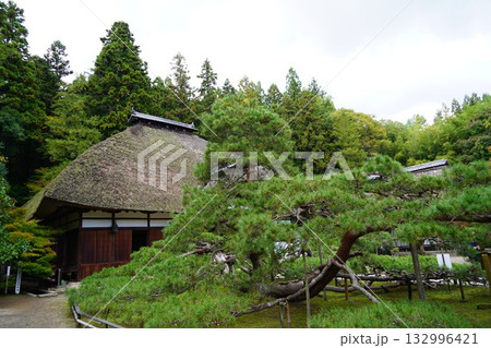 信州の鎌倉・北向観音・常楽寺・天台宗別格本山・別所温泉周辺の風景 信州の鎌倉・北向観音・常楽寺・天台宗別格本山・別所温泉周辺の風景 132996421