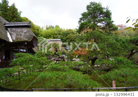 信州の鎌倉・北向観音・常楽寺・天台宗別格本山・別所温泉周辺の風景 信州の鎌倉・北向観音・常楽寺・天台宗別格本山・別所温泉周辺の風景 132996431