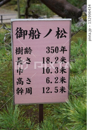 信州の鎌倉・北向観音・常楽寺・天台宗別格本山・別所温泉周辺の風景 信州の鎌倉・北向観音・常楽寺・天台宗別格本山・別所温泉周辺の風景 132996434
