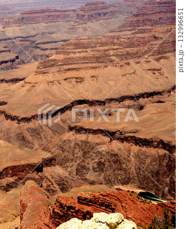 Grand Canyon Arizona Grand Canyon Arizona 132996651
