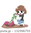 芋掘りしている女子1 132996793