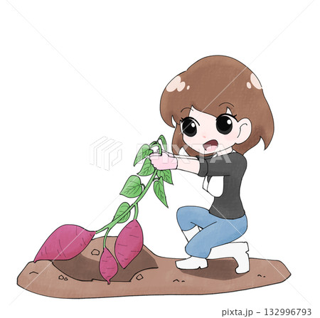 芋掘りしている女子1 132996793