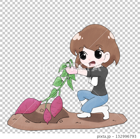 芋掘りしている女子1 132996793