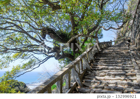 久能山東照宮の長い石段と木漏れ日、歴史ある史跡の参道と豊かな自然の調和 久能山東照宮の長い石段と木漏れ日、歴史ある史跡の参道と豊かな自然の調和 132996921