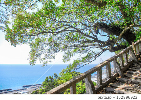 久能山東照宮の石段から見渡す駿河湾の青い水平線、歴史ある参道と海を望む絶景 132996922