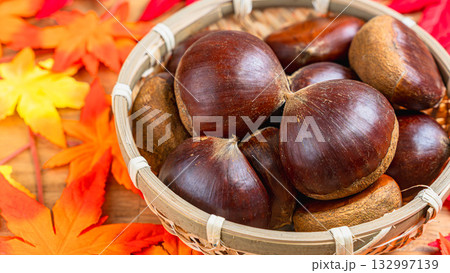 栗と紅葉 栗と紅葉 132997139