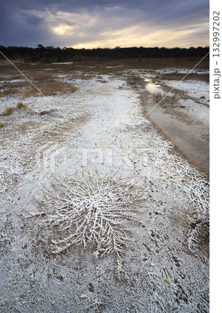 Saltpeter on the floor of a lagoon in a semi desert environment, La Pampa province, Patagonia, Argentina. 132997202