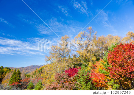 紅葉スポット　いずみ湖 132997249